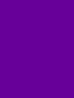 #660099 color image