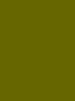 #666600 color image