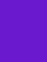 #6c19cd color image