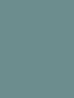 #6c8d8e color image
