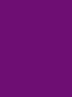 #6e0e73 color image
