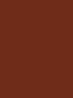 #6f2c19 color image