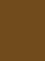 #714c19 color image