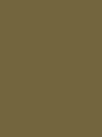 #71663e color image