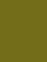 #736c19 color image