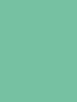#76c19f color image