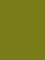 #787c19 color image