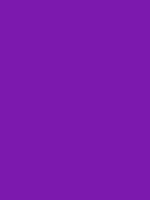 #7c19ae color image
