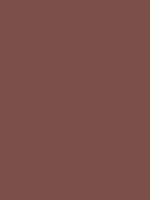 #7d514b color image
