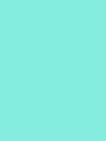 #84ede0 color image