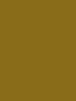 #896c19 color image