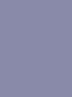 #898aaa color image