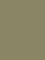 #8a8564 color image