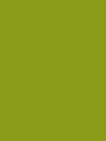 #8a9c19 color image