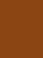#8b4513 color image