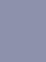 #8c92ac color image