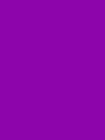 #8d05ab color image