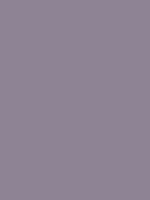 #8d8395 color image