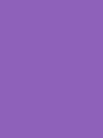 #8e61ba color image
