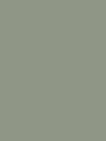 #8e9585 color image