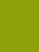 #8ea00a color image