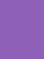 #8f60b8 color image