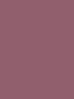 #915f6d color image