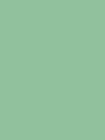 #91c19d color image