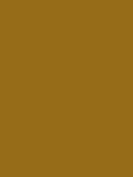 #976c19 color image