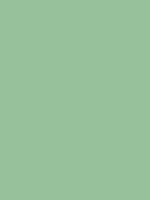 #97c19b color image