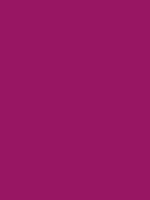 #981663 color image