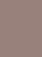 #98817b color image