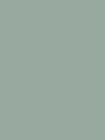 #98aaa0 color image