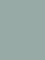 #98aaa5 color image