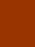 #993300 color image