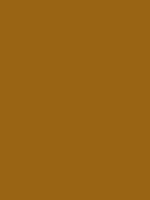 #996515 color image