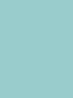 #99cccc color image
