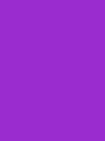 #9a2ccf color image