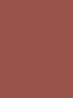 #9a514b color image