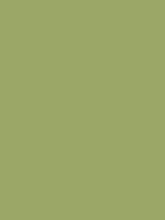 #9ba767 color image