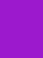 #9c19cd color image