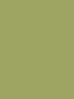 #9da660 color image