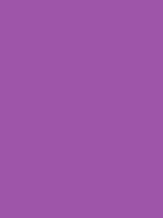 #9e55a9 color image