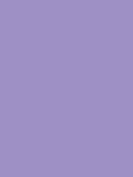 #9e90c5 color image