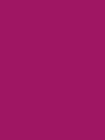 #9f1663 color image
