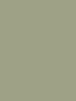 #9fa187 color image