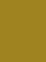 #a08321 color image