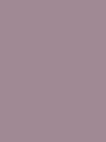 #a08994 color image