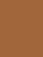 #a1663b color image