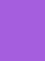 #a45ede color image